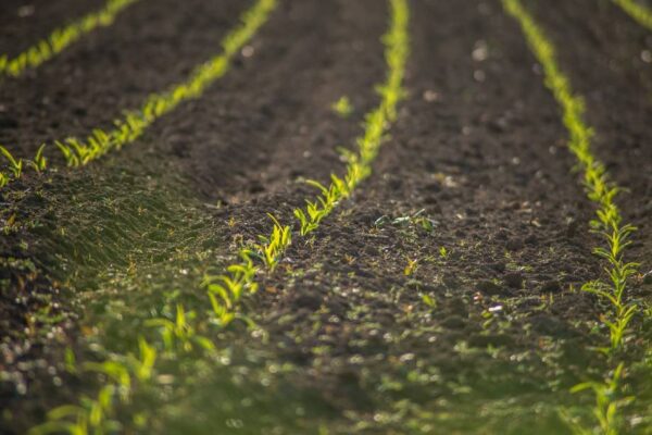 valoraciones agricultura regenerativa